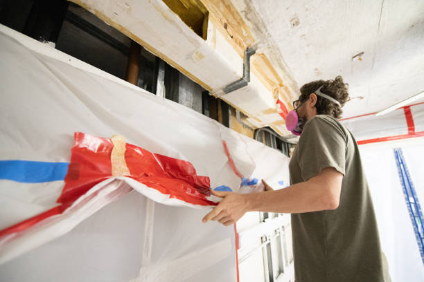 Best Mold Removal for HVAC Installations  in Silver Lake, NC