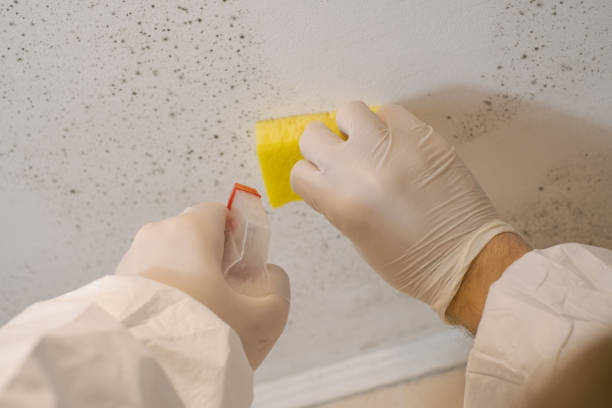 Best Air Quality Testing for Mold Spores  in Silver Lake, NC